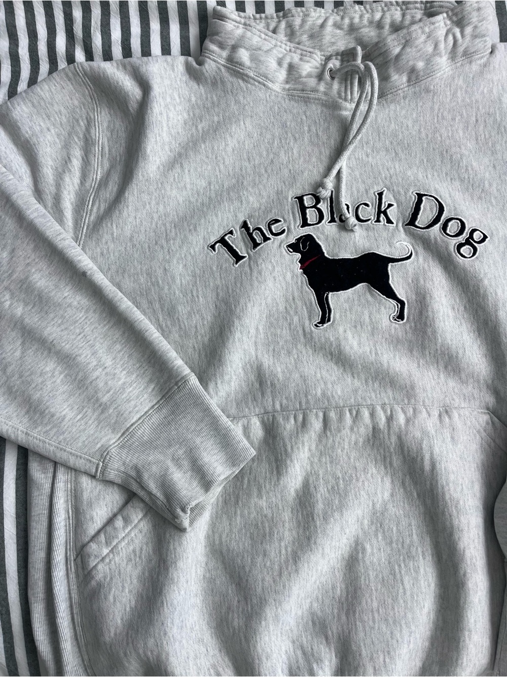 The Black Dog Light Gray Hoodie with Black Dog Logo and Red Collar